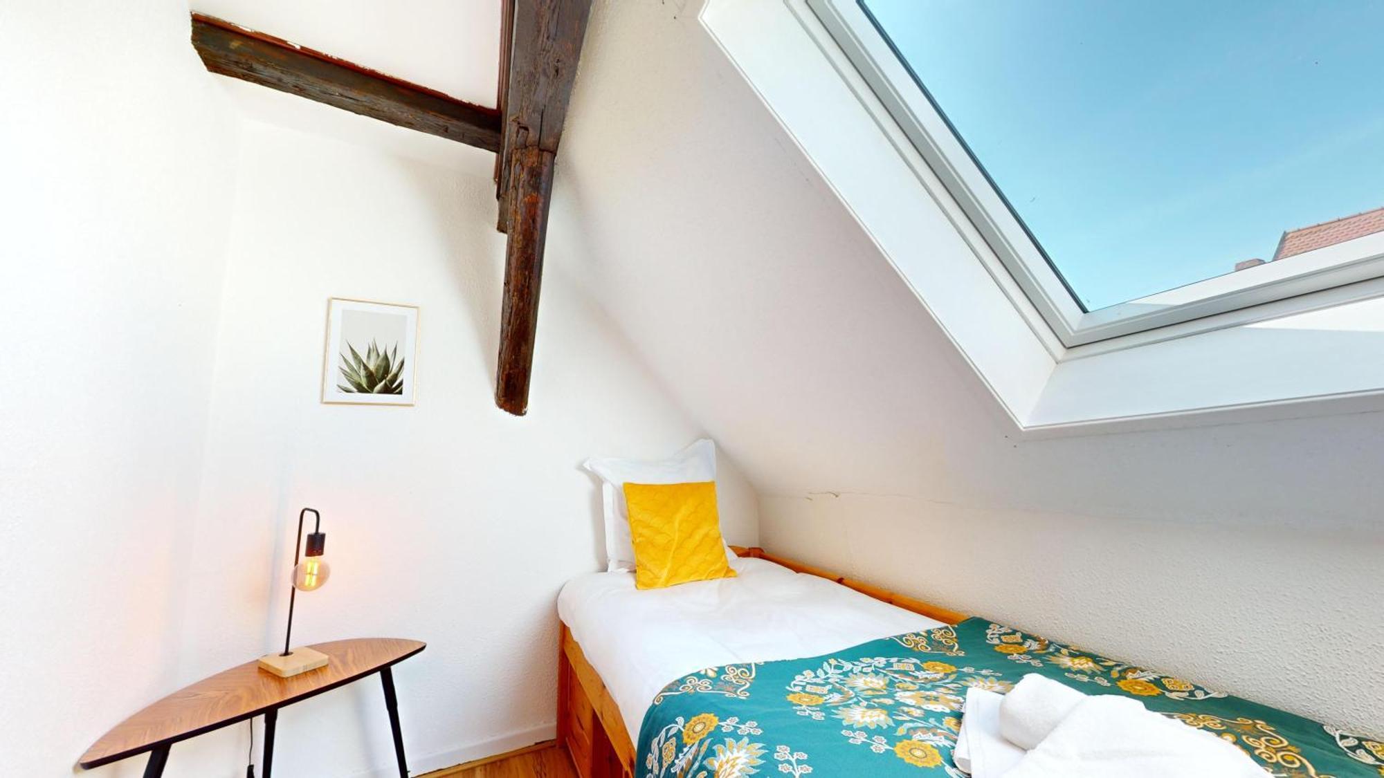 Ferienwohnung Le Petit Chez Vous Colmar Exterior foto